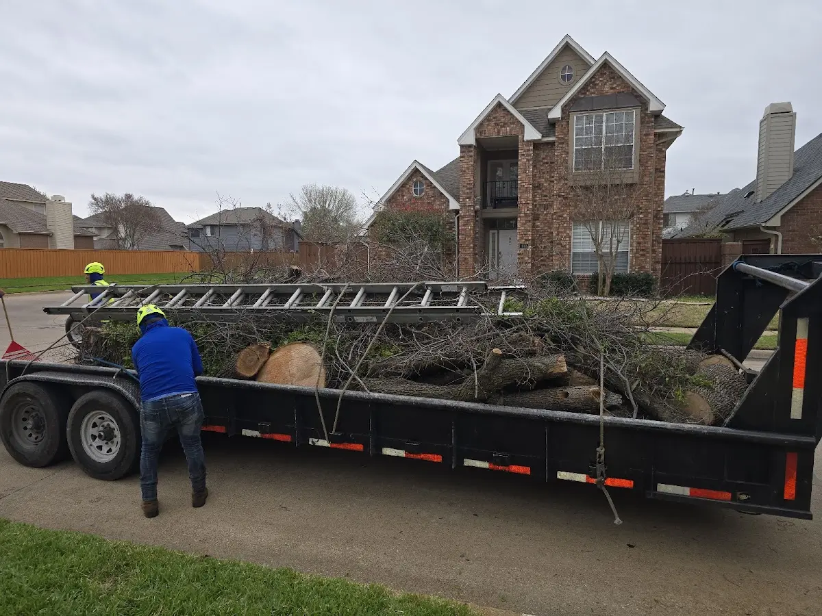 Expert Lot Clearing with proper safety equipment in Woodlake